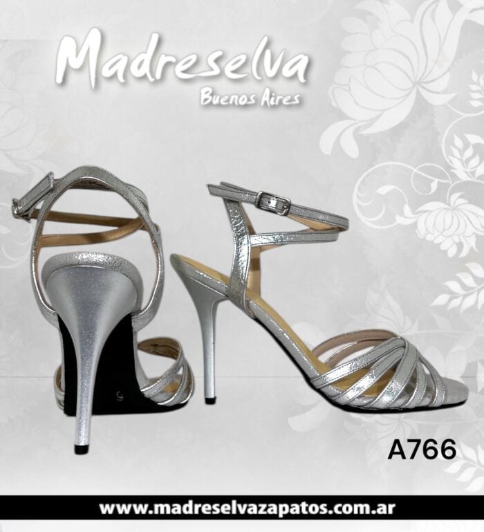 Zapatos de Tango A766