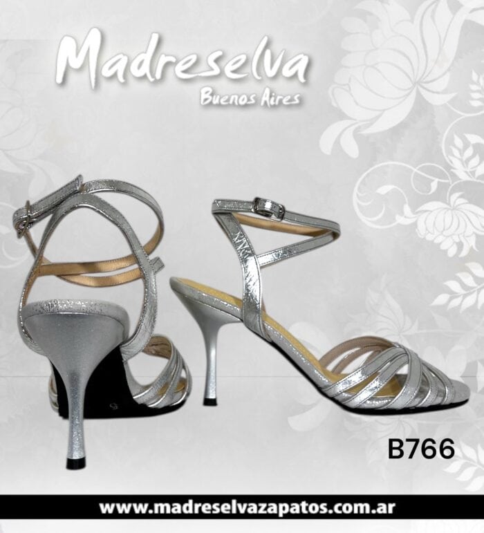 Zapatos de Tango B766