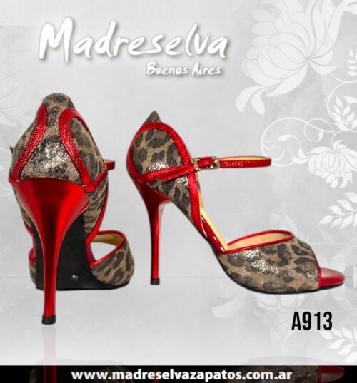 Zapatos de Tango A913
