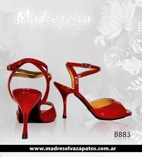 Zapatos de Tango B883