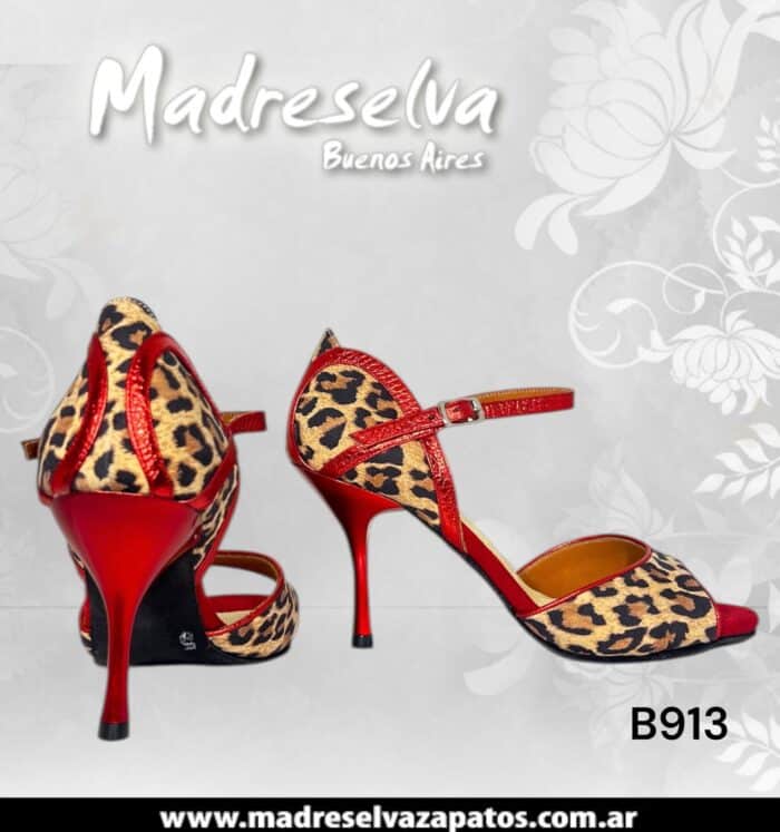 Zapatos de Tango B913