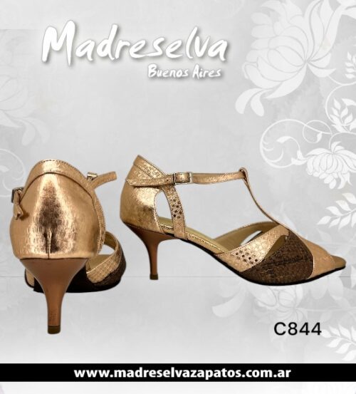 Zapatos de Tango C844