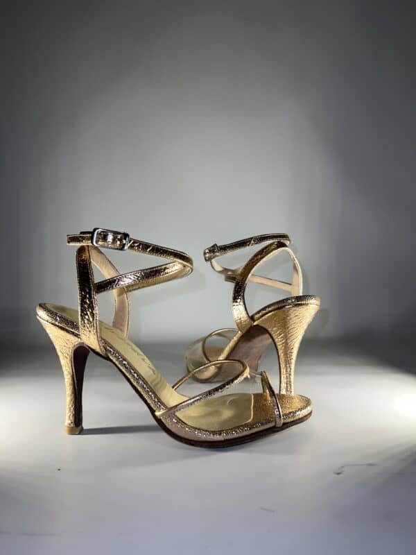 Alternative view of Zapatos de Tango A863