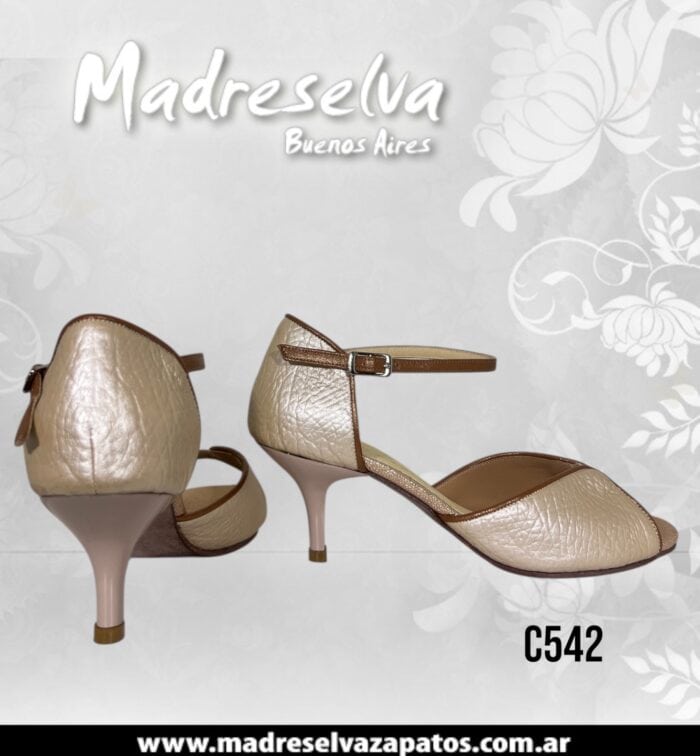 Zapatos de Tango C542