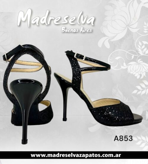 Zapatos de Tango A853