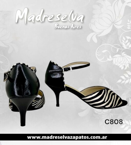 Zapatos de Tango C808
