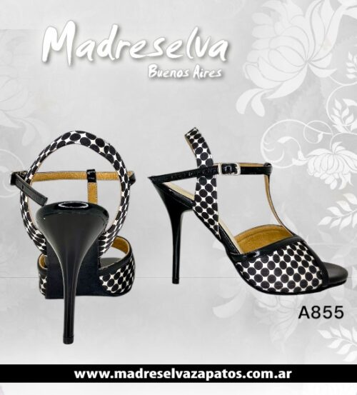 Zapatos de Tango A855