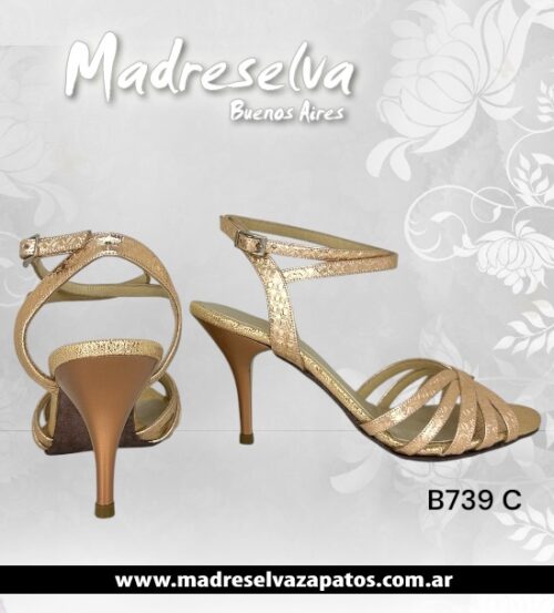 Zapatos de Tango B739